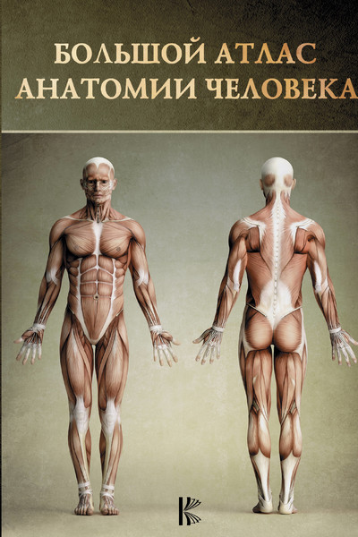 Большой атлас анатомии человека